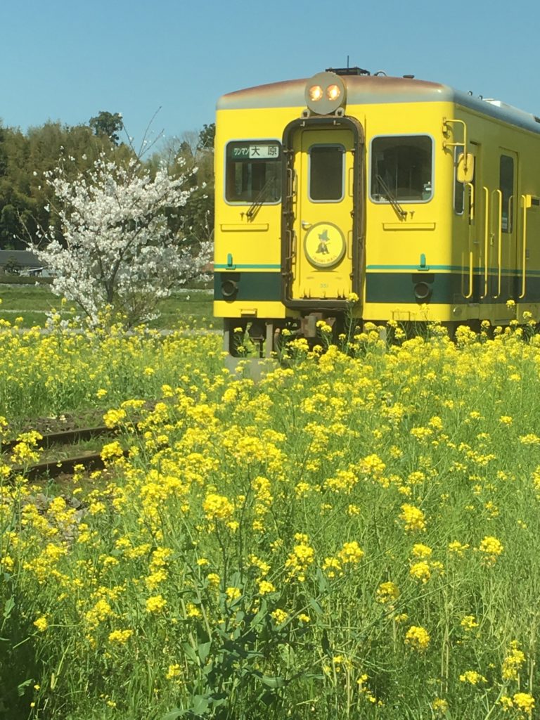 いすみ鉄道、大人気です