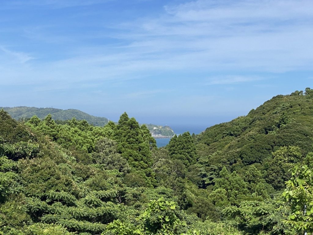 海が見える景色、最高ですね