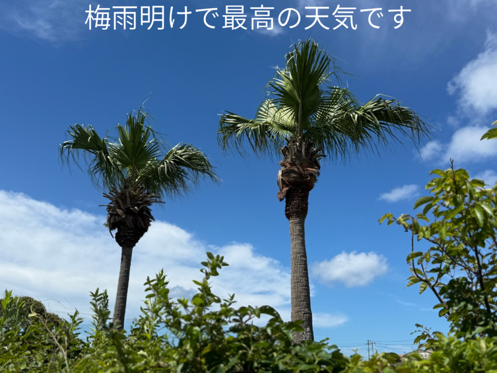 最高の天気です。♪