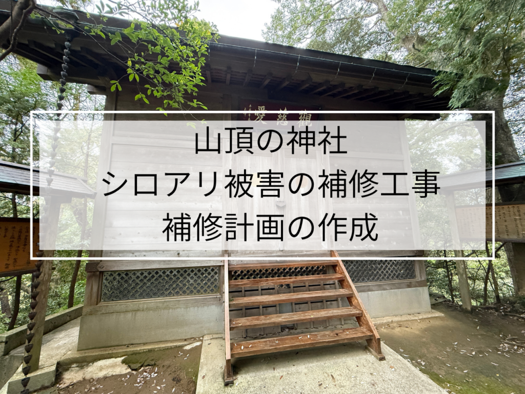 🏔️山頂の神社「シロアリ補修」シロアリ消毒の大切さを知る