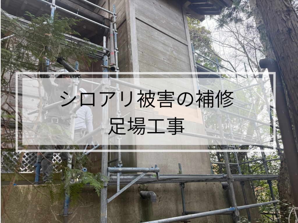 いすみ市、大多喜町周辺で「シロアリ被害修理」